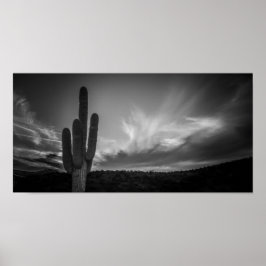 黒い砂漠 ポスター