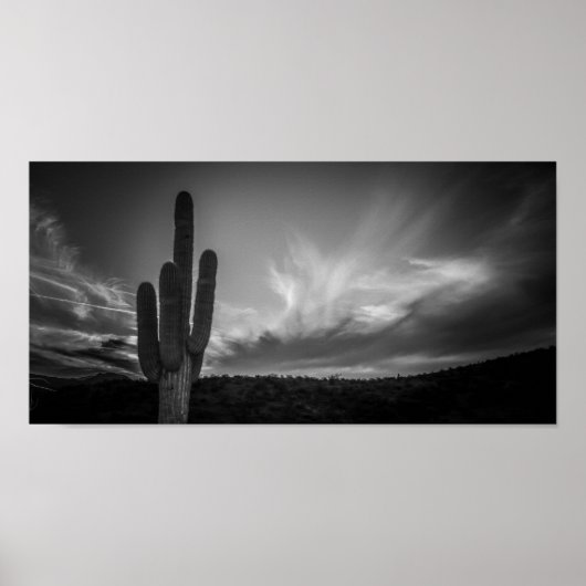 黒い砂漠 ポスター (正面)