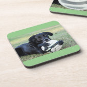 黒い研究所のコースター。 6組。 コースター (左側)