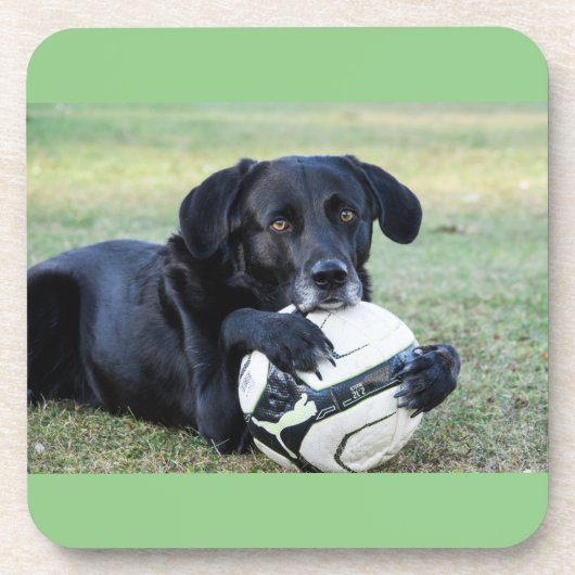 黒い研究所のコースター。 6組。 コースター (正面)