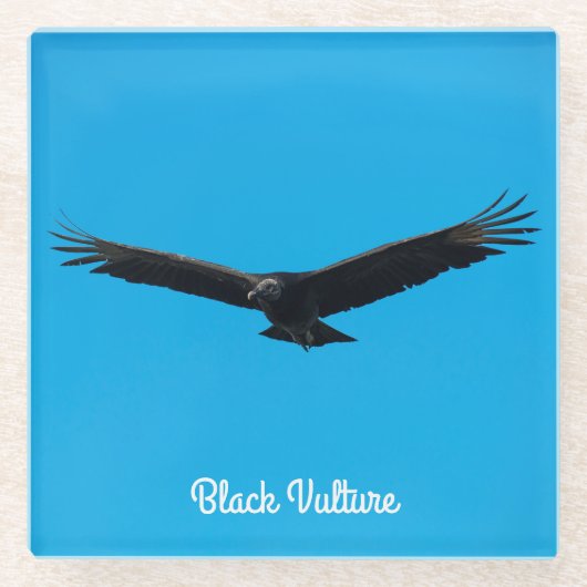 黒い禿鷲 ガラスコースター (正面)