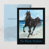黒い種馬 アラビア種のポストカード ポストカード (正面/裏面)