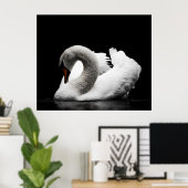 黒い素晴らし背景に白い白鳥 ポスター (ホームオフィス)
