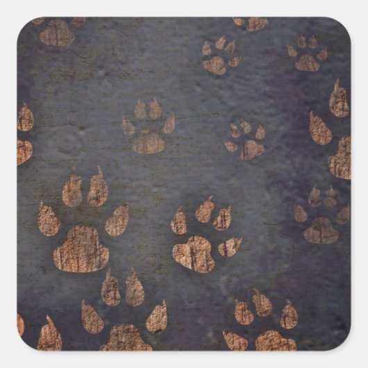 黒い素朴前足のパターン スクエアシール (正面)