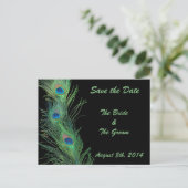 黒い緑の羽飾り日付を保存 案内ポストカード (スタンド正面)