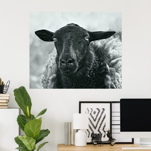 黒い羊 ポスター (ホームオフィス)