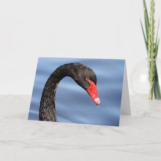 黒い美しいの挨拶状 カード (正面)