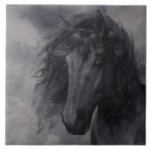 黒い美しいタイル タイル (正面)