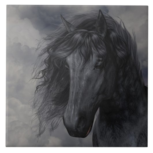 黒い美しいタイル タイル (正面)