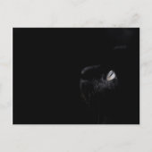 黒い美しい – はがき (正面)