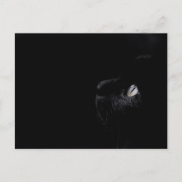 黒い美しい – はがき