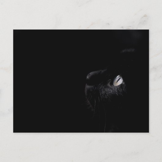 黒い美しい – はがき (正面)