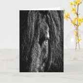 黒い美しい – グリーティングカード (黄色い花)