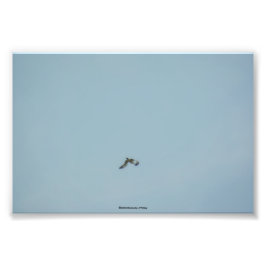 黒い義足のキティワケ フォトプリント           