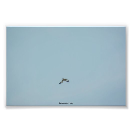 黒い義足のキティワケ フォトプリント            (正面)