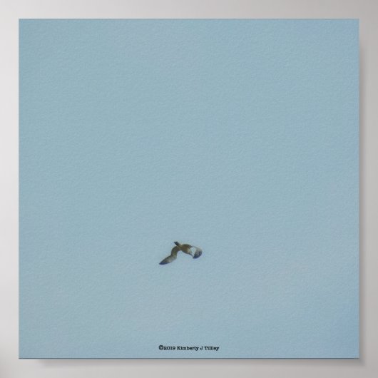 黒い義足のキティワケ ポスター (正面)