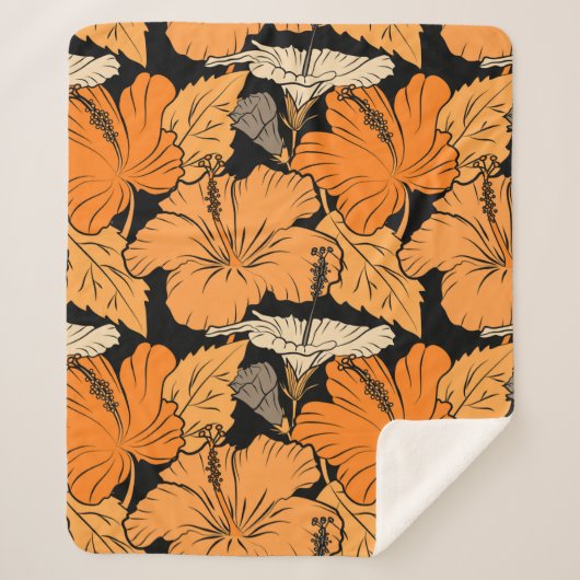 黒い背景で。のラスタ絵画ーハンド シェルパブランケット (正面)