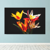 黒い背景にチューリップ花 キャンバスプリント (インサイチュ (ウッドフロア))