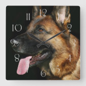 黒い背景にドイツの羊飼い スクエア壁時計 (正面)