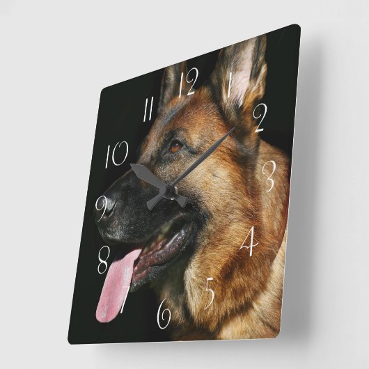 黒い背景にドイツの羊飼い スクエア壁時計 (傾斜)