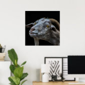 黒い背景にビリー・ヤギ ポスター (ホームオフィス)