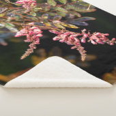 黒い背景にピンクの花 シェルパブランケット (3/4)