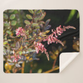 黒い背景にピンクの花 シェルパブランケット (正面(横))