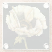 黒い背景にポピーのクリーム色の花 ガラスコースター (裏面)