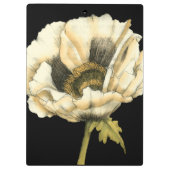 黒い背景にポピーのクリーム色の花 クリップボード (裏面)