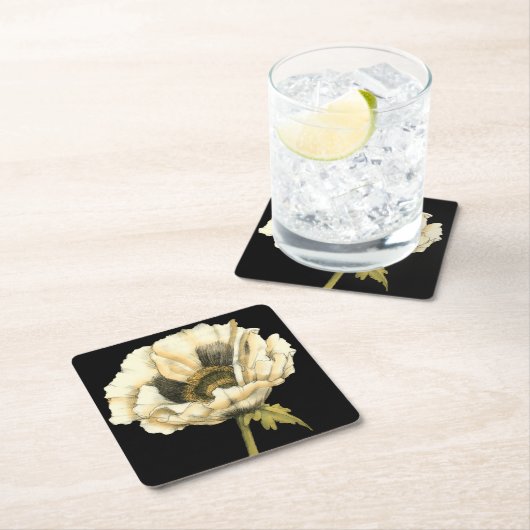 黒い背景にポピーのクリーム色の花 スクエアペーパーコースター (インサイチュ)