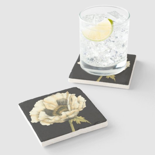 黒い背景にポピーのクリーム色の花 ストーンコースター (横)