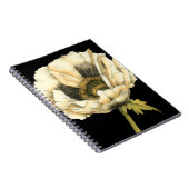 黒い背景にポピーのクリーム色の花 ノートブック (右側)