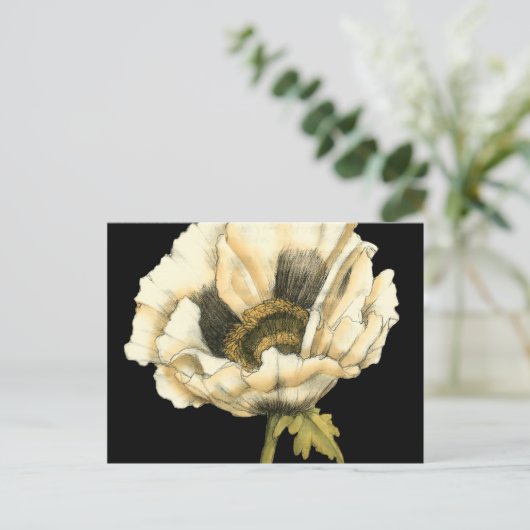 黒い背景にポピーのクリーム色の花 ポストカード (スタンド正面)