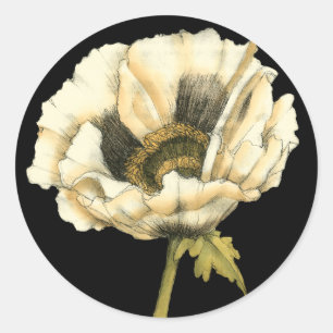 黒い背景にポピーのクリーム色の花 ラウンドシール