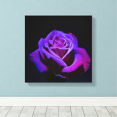 黒い背景に水滴を付ける紫のバラ キャンバスプリント (インサイチュ (ウッドフロア))