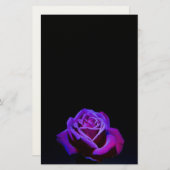 黒い背景に水滴を付ける紫のバラ 便箋 (正面/裏面)