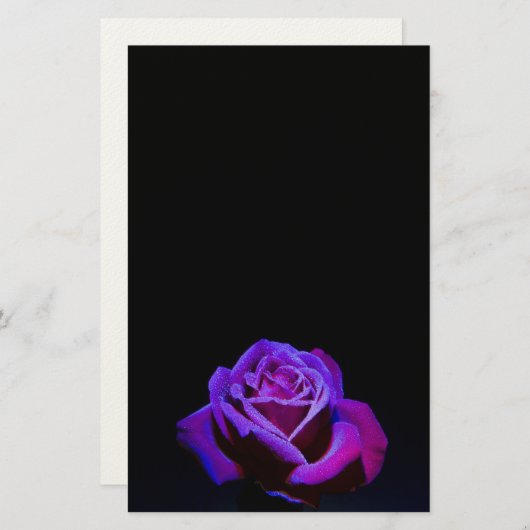 黒い背景に水滴を付ける紫のバラ 便箋 (正面/裏面)