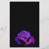 黒い背景に水滴を付ける紫のバラ 便箋 (正面)