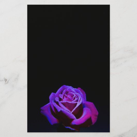 黒い背景に水滴を付ける紫のバラ 便箋 (正面)