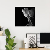 黒い背景に白いチューリップ写真 ポスター (ホームオフィス)