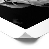 黒い背景に白いチューリップ ポスター (角)