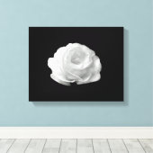 黒い背景に白いバラの縞模様のキャンバス キャンバスプリント (インサイチュ (ウッドフロア))