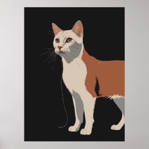 黒い背景に白とオレンジの猫 ポスター