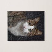 黒い背景に緑の目を持つタビー猫 ジグソーパズル (横)