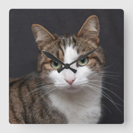 黒い背景に緑の目を持つタビー猫 スクエア壁時計