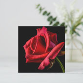 黒い背景に赤いバラ カード (スタンド正面)
