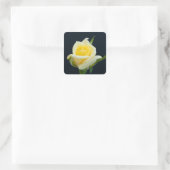 黒い背景に黄色いバラ スクエアシール (バッグ)