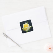 黒い背景に黄色いバラ スクエアシール (封筒)