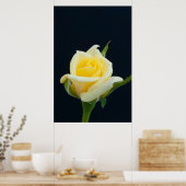 黒い背景に黄色いバラ ポスター (キッチン)