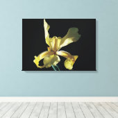 黒い背景に黄色い虹彩花。 キャンバスプリント (インサイチュ (ウッドフロア))